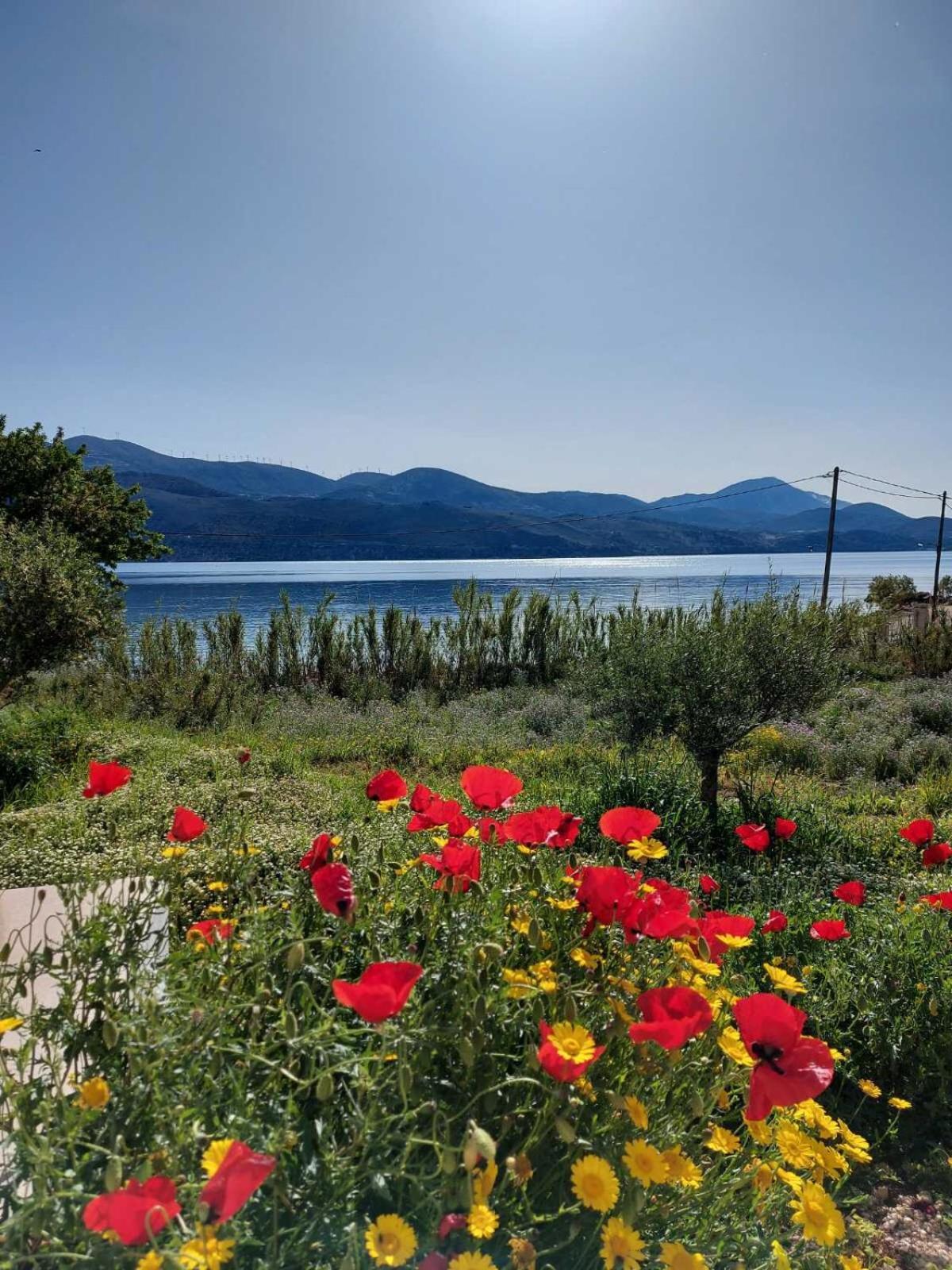 Apollonides Seafront Villa 2 Melete Ліксурі Екстер'єр фото