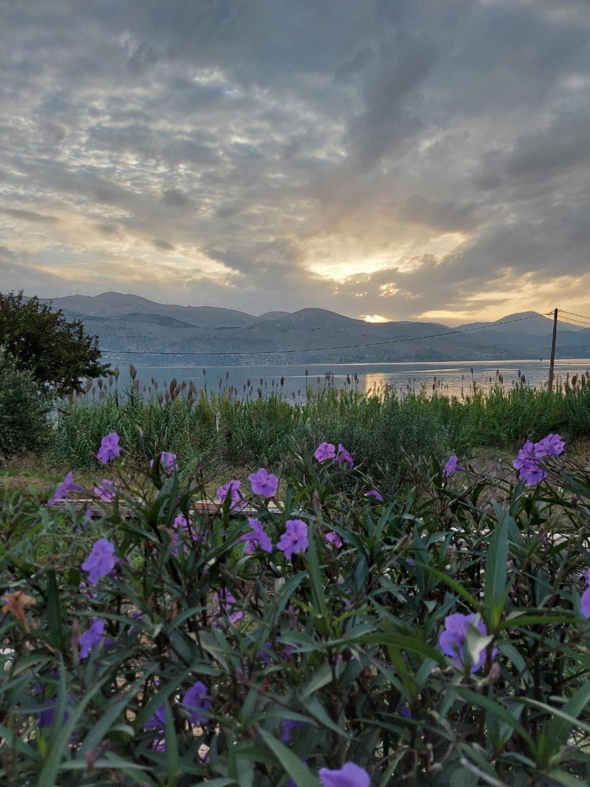 Apollonides Seafront Villa 2 Melete Ліксурі Екстер'єр фото